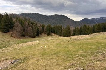 Teren de vanzare DAMBOVICIOARA - Arges anunturi imobiliare Arges