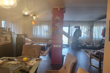 VILA P+1 INDIVIDUALA-MEGA IMAGE PRIMARIE anunturi imobiliare Bucuresti