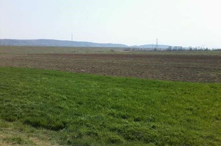 Teren extravilan 5.800 mp – Prodanesti, com. Creaca, jud. Sălaj anunturi imobiliare Salaj