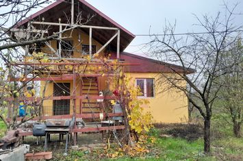 De vanzare casa +teren 16k mp in BARCANESTI / IL anunturi imobiliare Ialomita