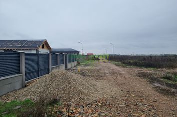 Popesti - 500 mp intravilan cu utilitati - Direct proprietar anunturi imobiliare Bucuresti