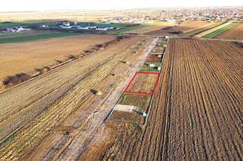 Teren Intravilan de vanzare SUD-EST - Satu Mare anunturi imobiliare Satu Mare