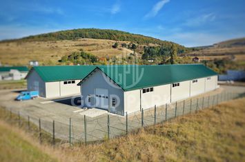 Hala MODERNA - 560 mp+ 300 birouri FINISATE- Construita in 2020-Rampa anunturi imobiliare Cluj