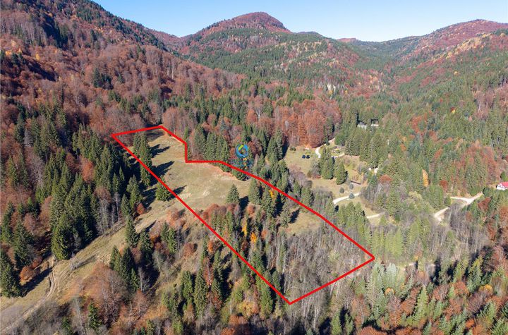 Teren Extravilan de vanzare SIRIU - Buzau anunturi imobiliare Buzau