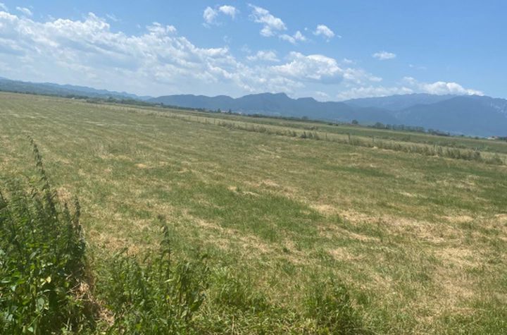 Teren de vanzare RASNOV - Brasov anunturi imobiliare Brasov