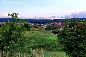 Teren intravilan 5.700 mp in Corunca,zona castelului,34 eu/mp anunturi imobiliare Mures