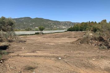 Teren agricol 6.700 mp în Elaiochori, Kavala anunturi imobiliare Grecia