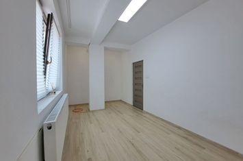 Timpuri Noi Ion Minulescu vila 12 camere de inchiriat anunturi imobiliare Bucuresti