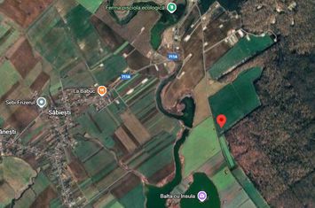 3 loturi de teren langa padure langa lacul Colacu, Dambovita anunturi imobiliare Dambovita