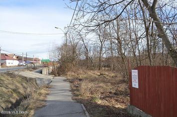 Valea Ursului - DN 7, Teren Stradal 2744 mp anunturi imobiliare Arges