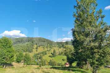 Teren de vanzare SUCEAVA - Suceava anunturi imobiliare Suceava