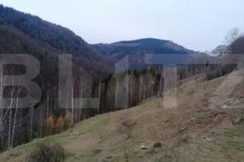 Teren de vanzare ALBA IULIA - Alba anunturi imobiliare Alba