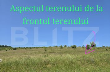 Teren de vanzare SALICEA - Cluj anunturi imobiliare Cluj