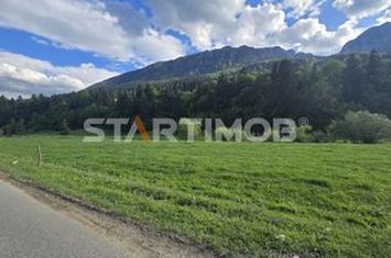 Teren intravilan Zarnesti Plaiul Foii anunturi imobiliare Brasov