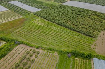 Teren construibil 13.750 mp în Orfani anunturi imobiliare Grecia