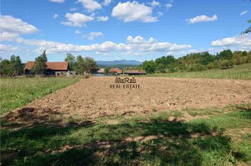 Teren Intravilan de vanzare BAIA DE CRIS - Hunedoara anunturi imobiliare Hunedoara