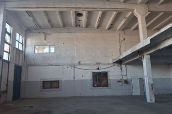 Spatii depozitare /productie Linia de Centura Leordeni-Glina anunturi imobiliare Bucuresti