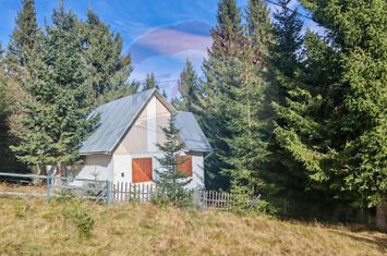 Cabană de vânzare în Muntele Băișorii – Zona Jera anunturi imobiliare Cluj