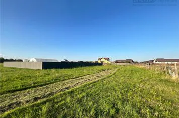 Teren Intravilan de vanzare HARMAN - Brasov anunturi imobiliare Brasov