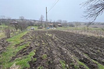 Teren de vanzare GHERCESTI - Dolj anunturi imobiliare Dolj