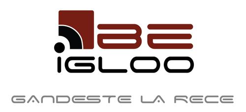 Be Igloo: Solutia de iesire din criza - modalitati flexibile de finantare