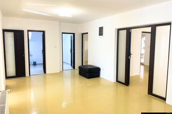 Spațiu comercial de inchiriat FALTICENI - Suceava anunturi imobiliare Suceava