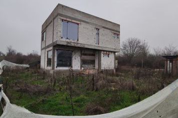 Vilă - 4 camere de vanzare CARCEA - Dolj anunturi imobiliare Dolj