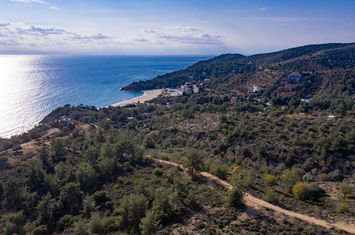 Teren construibil 4.043,64 mp în Tripiti, 220 metri de mare anunturi imobiliare Grecia