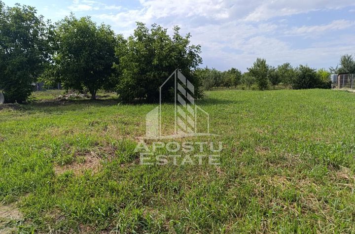 Teren intravilan in vatra satului Giarmata Vii de 683 mp anunturi imobiliare Timis