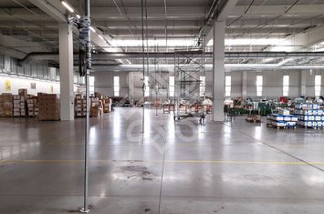 Hala industriala 4700 mp de inchiriat in Oradea anunturi imobiliare Bihor