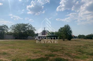 Teren intravilan, 3840mp, Turnu anunturi imobiliare Arad