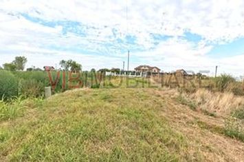 Dumbrava - Ciupelnita - str Principala - Vila 4 camere P+E - TEREN 1020MP anunturi imobiliare Prahova