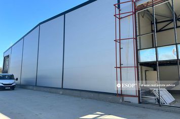 Spațiu industrial de vanzare DRISTOR - Bucuresti anunturi imobiliare Bucuresti