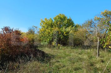 Teren de vanzare COPACENI - Cluj anunturi imobiliare Cluj
