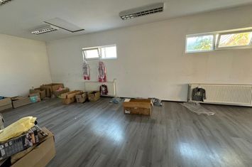 Spațiu comercial de inchiriat RADAUTI - Suceava anunturi imobiliare Suceava