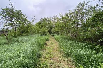 Apartament 5 camere de vanzare TURNISOR - Sibiu anunturi imobiliare Sibiu