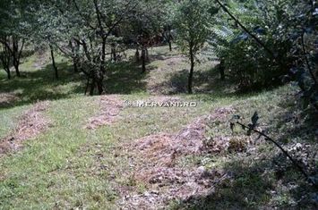 Teren de vânare în Poiana Câmpina anunturi imobiliare Prahova