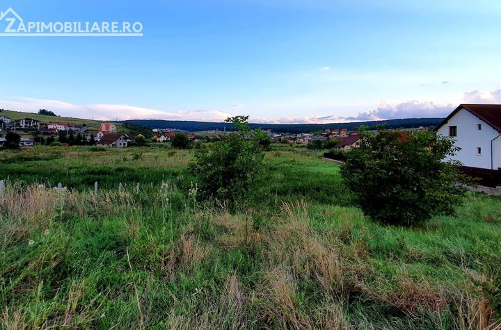 Teren intravilan 5.700 mp in Corunca,zona castelului,34 eu/mp anunturi imobiliare Mures