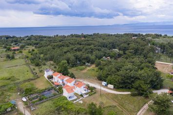 Teren 3.228,87 mp în Skala Prinos (Dasaki) anunturi imobiliare Grecia