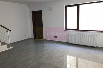 Vila de inchiriat Parcul Carol Budapesta Unirii anunturi imobiliare Bucuresti