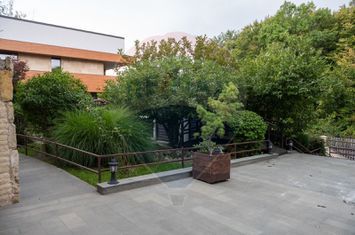 Vilă spectaculoasă de vânzare în Făget anunturi imobiliare Cluj