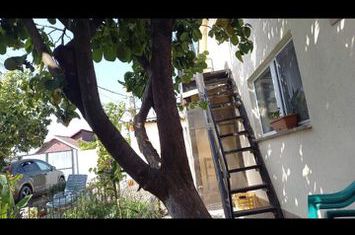 MANGALIA Casa 3 camere anunturi imobiliare Constanta