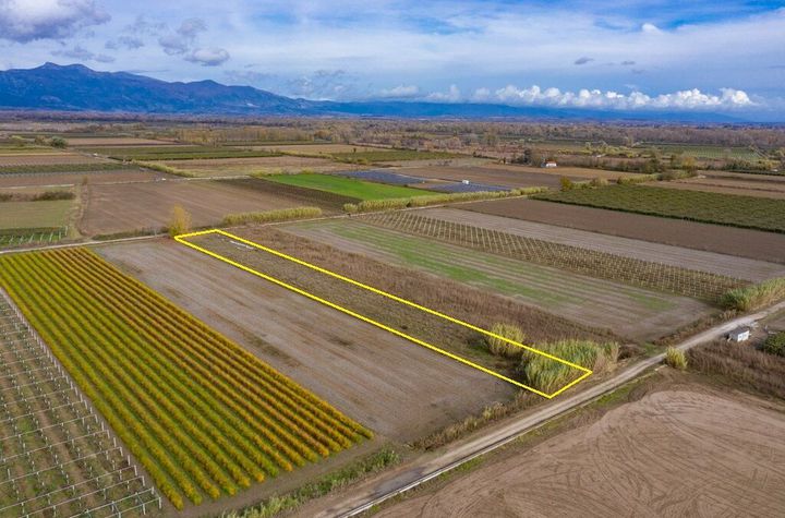 Teren agricol 5520 mp în Drymousa, Chrysoupolis anunturi imobiliare Grecia