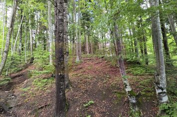 Teren intravilan 720 mp Sinaia anunturi imobiliare Prahova