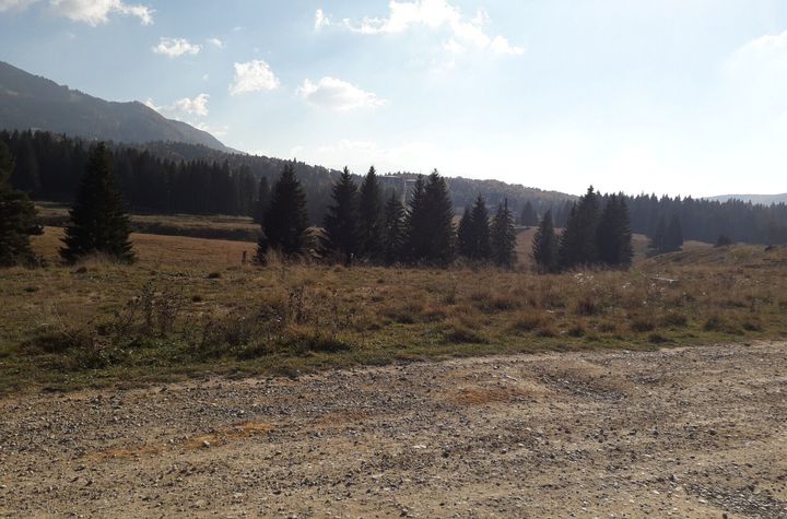 Ocazie unică la licitație: Teren cu Potențial Turistic Major în Poiana Brașov anunturi imobiliare Brasov