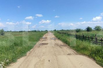Teren de vanzare CARCEA - Dolj anunturi imobiliare Dolj