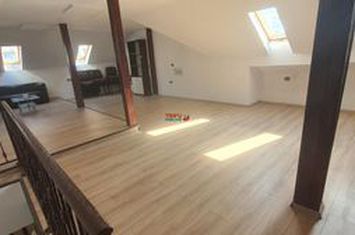 Spațiu comercial de inchiriat CENTRAL - Alba anunturi imobiliare Alba