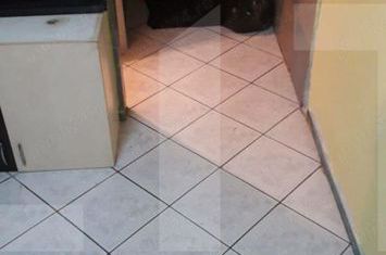 Garsonieră de vanzare SAGULUI - Timis anunturi imobiliare Timis