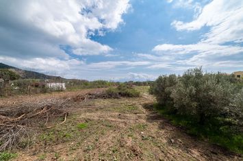 Teren construibil 1254,51 mp în Perigiali, Kavala anunturi imobiliare Grecia
