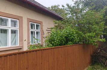 Casă - 4 camere de vanzare RADAUTI - Suceava anunturi imobiliare Suceava